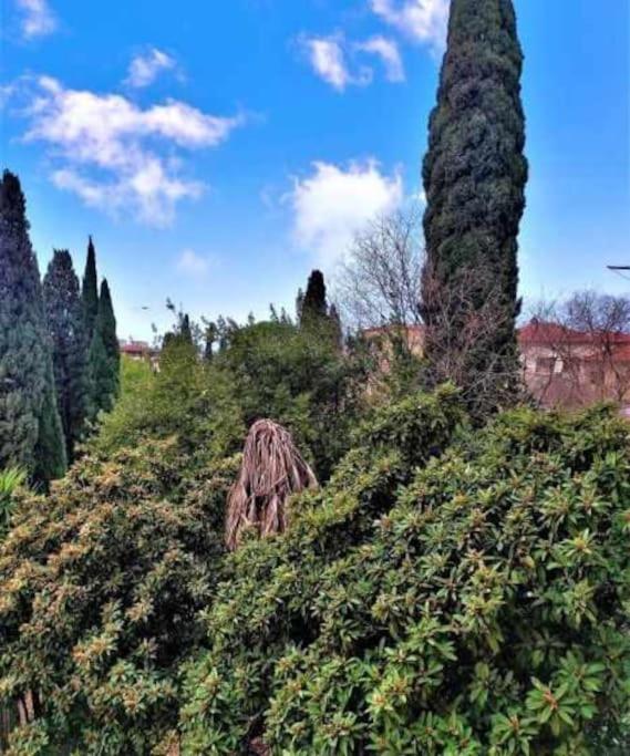 佛罗伦萨Casa Raffaello Careggi公寓 外观 照片